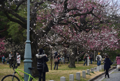 200223c京都御苑16