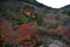 191205d清水寺10