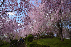 190412b大神神社43
