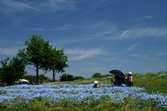 180512馬見丘陵05+