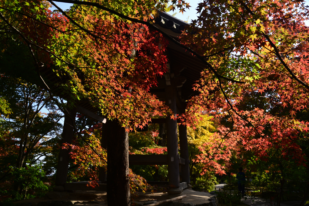 221111c常寂光寺33