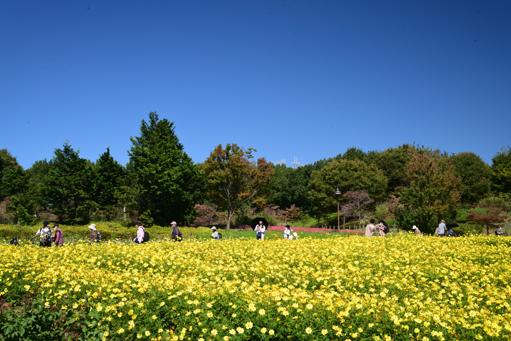 221014馬見丘陵公園39