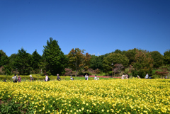 221014馬見丘陵公園39