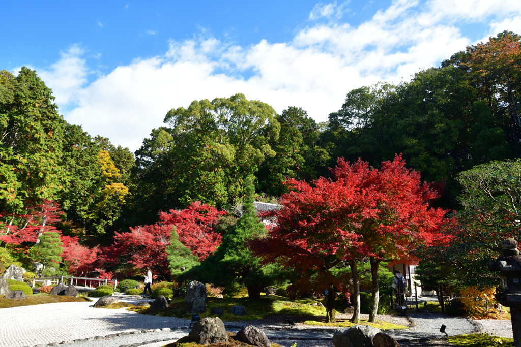 251122a金戒光明寺05