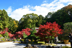 251122a金戒光明寺05