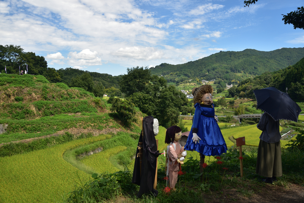190925b明日香村稲渕13
