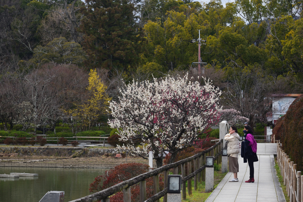 210304b長岡天満宮48