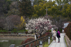 210304b長岡天満宮48