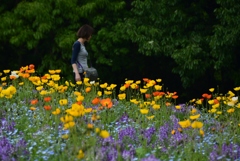 180426万博公園68