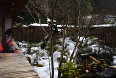 250210c大原宝泉院19