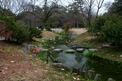 250202京都御苑20