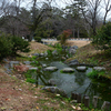 250202京都御苑20