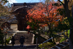 211203a光明寺32