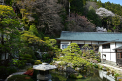 250405b身延山久遠寺26