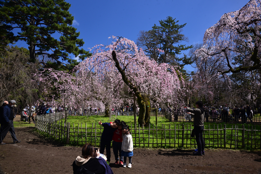 240327c京都御苑09