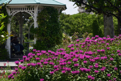 200524長居植物園38