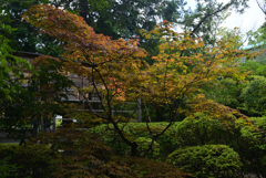 220831c上御霊神社37