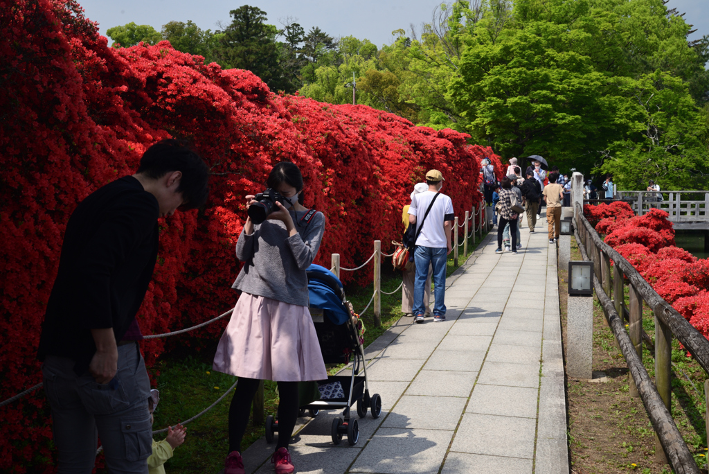 220423長岡天満宮25