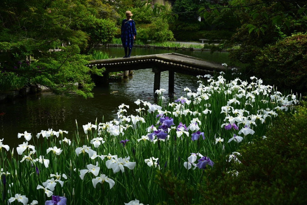 180607b梅宮大社75+