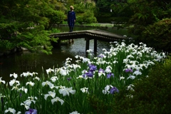 180607b梅宮大社75+