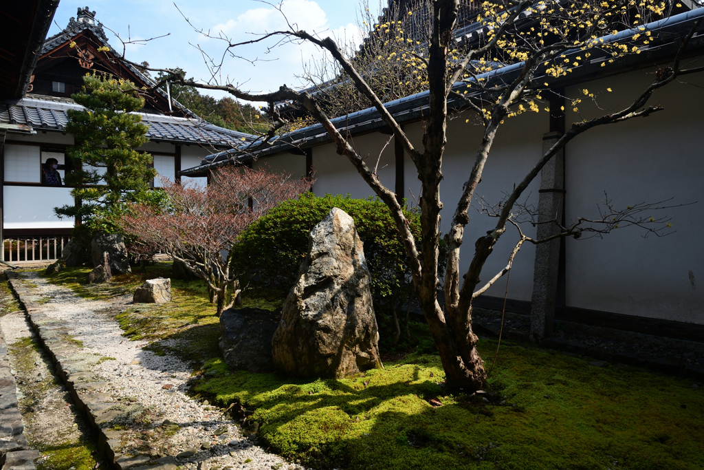 240314隨心院22