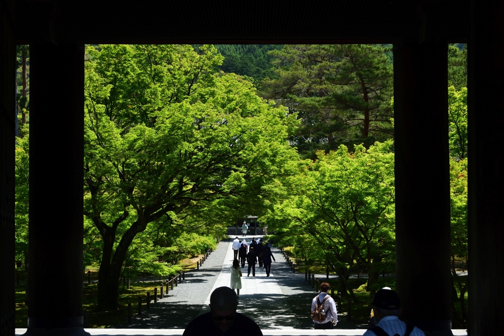 180522a南禅寺06+