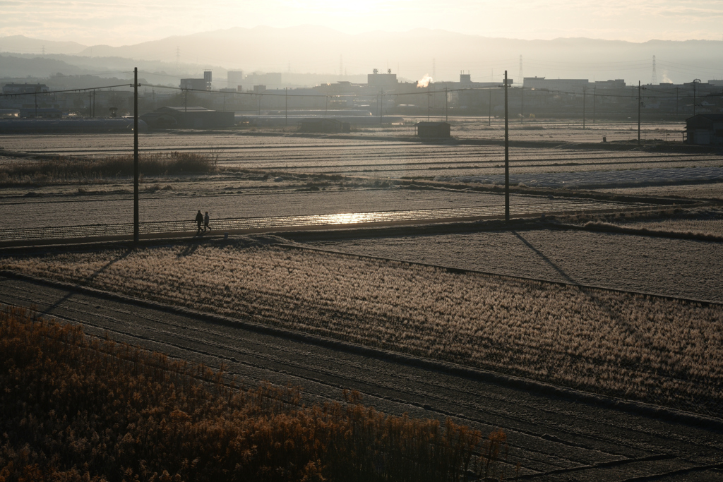 240102a流れ橋28