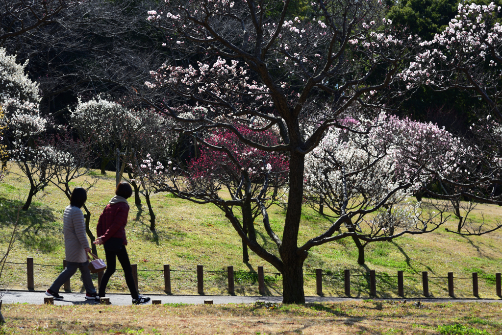 200221荒山公園25