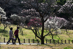 200221荒山公園25 200221荒山公園25