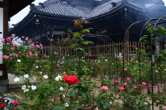 211018おふさ観音67