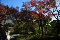 191109a天龍寺54