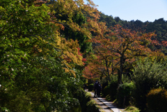 191102c哲学の道47