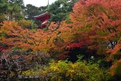 181118f今熊野観音寺10