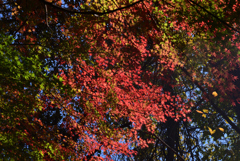 211129b不退寺47