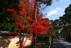 191204a相国寺01