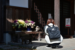 240228a梅宮大社11