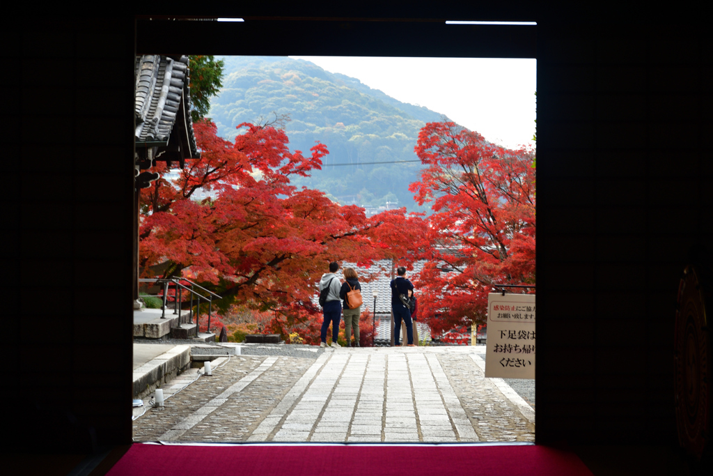 251122a金戒光明寺36