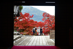 251122a金戒光明寺36