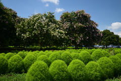 220807馬見丘陵公園23