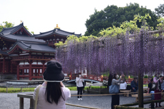 210423b平等院31
