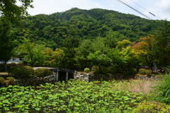 230527a天龍寺08