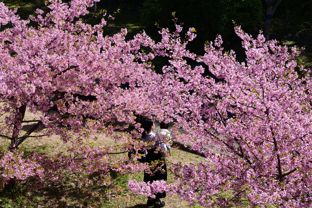 230314a山田池公園37