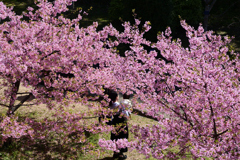 230314a山田池公園37