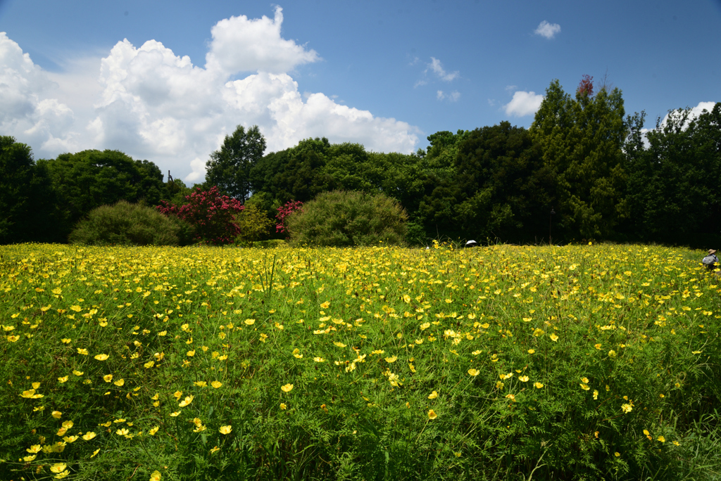 220807馬見丘陵公園35