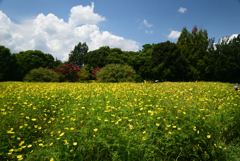 220807馬見丘陵公園35