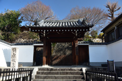 210115f宇治53