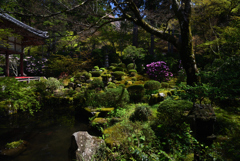 210407c三千院35