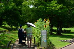 250712万博公園50