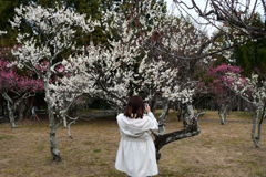 240210a山田池公園36