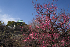 250215大阪城12